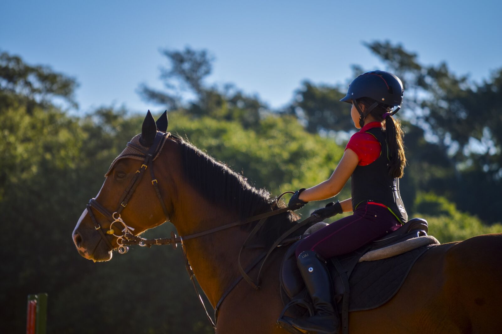 Nikon D3200 sample photo. Girl, horse, equine photography