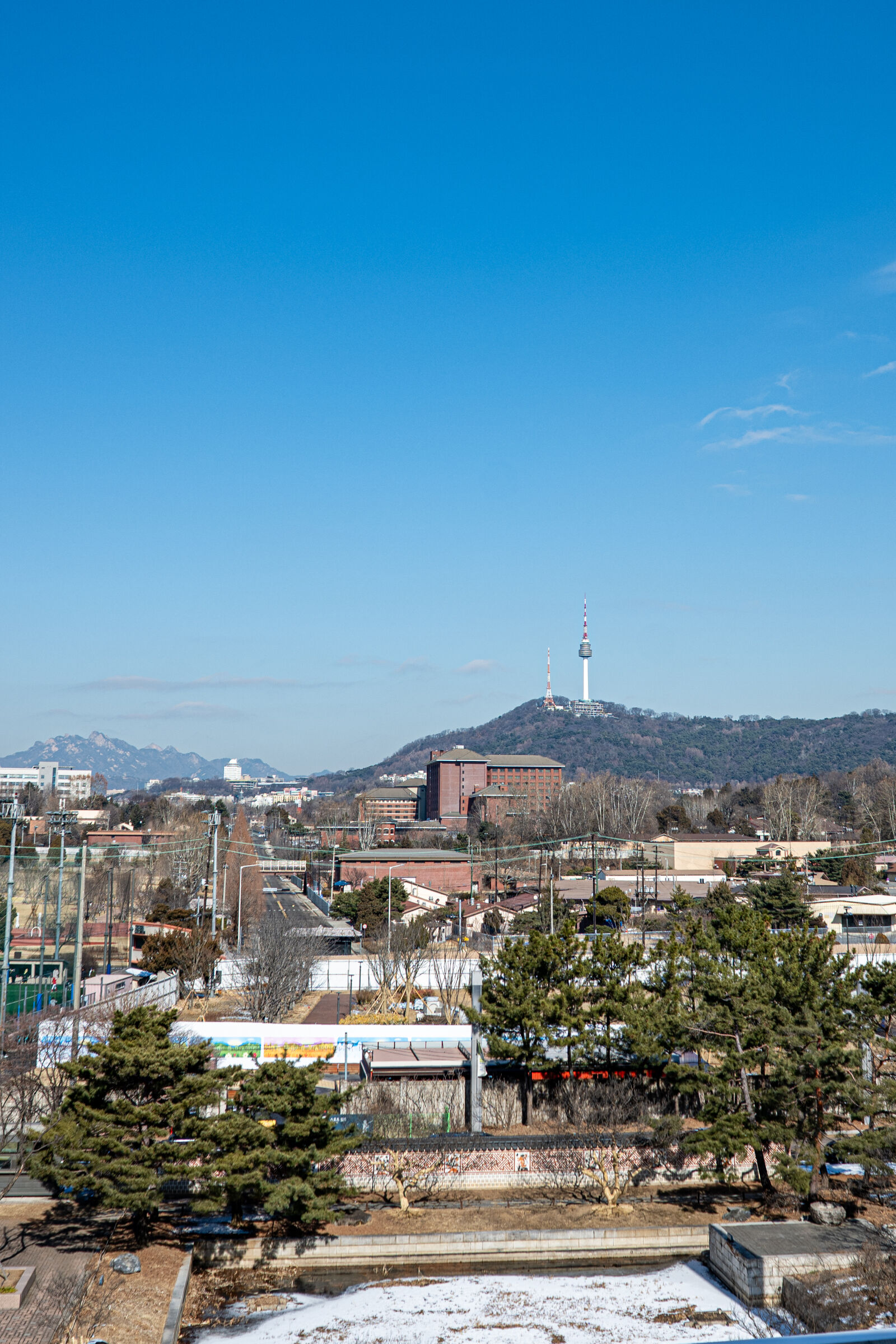 Nikon Z8 sample photo