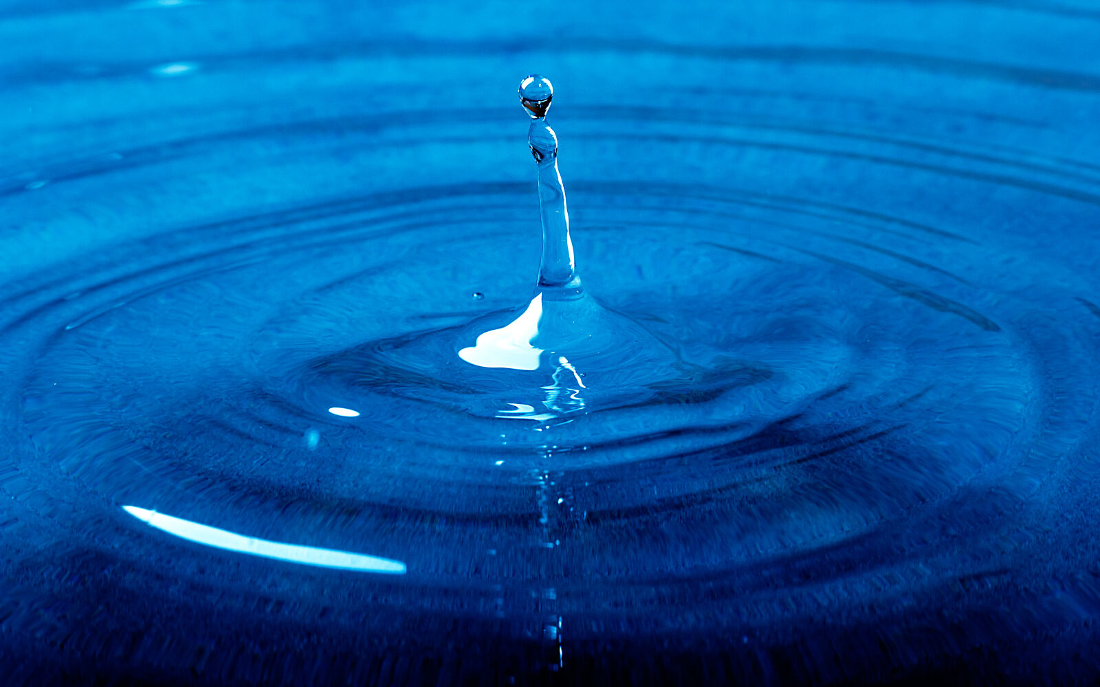 Canon EOS 60D + Canon EF 50mm F1.8 STM sample photo. Blue, bubble, canon, canon photography