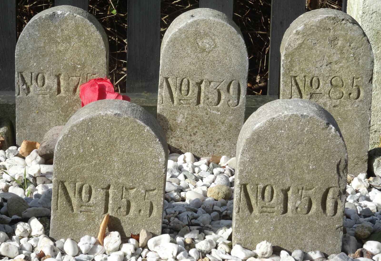 Sony DSC-HX50 sample photo. Grave stones, grave, graves photography