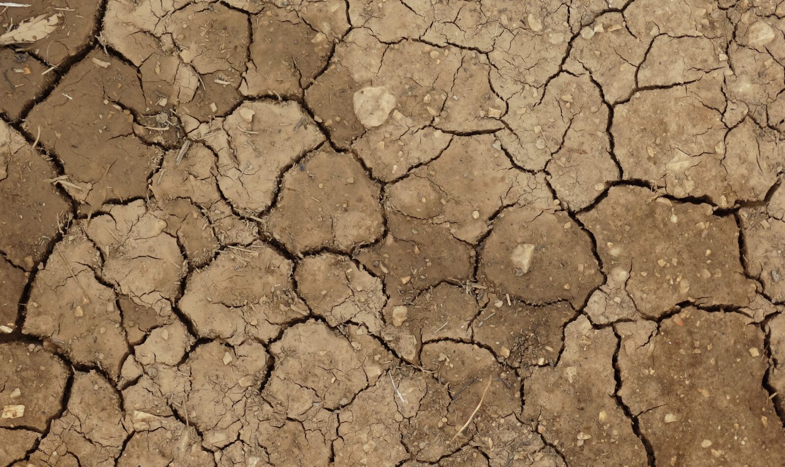 Sony Cyber-shot DSC-HX300 sample photo. Dry land, ground, drought photography