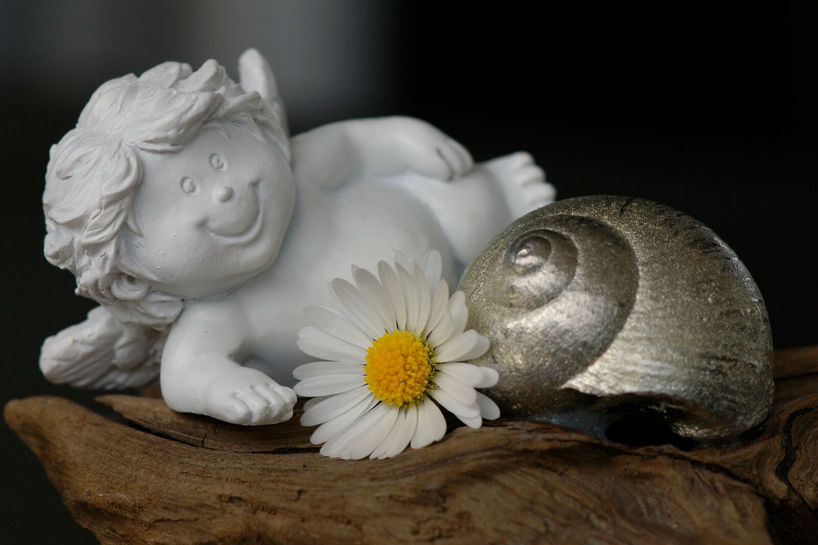 Sony Alpha DSLR-A350 sample photo. Guardian angel, daisy, cheerful photography