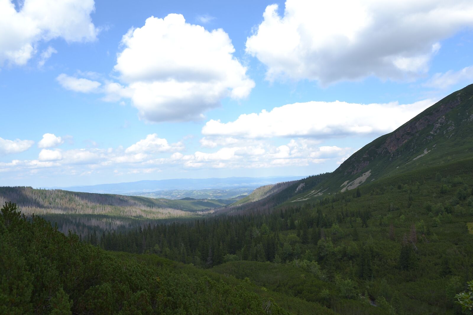 Nikon D3100 sample photo. Buried, mountains, hala g photography