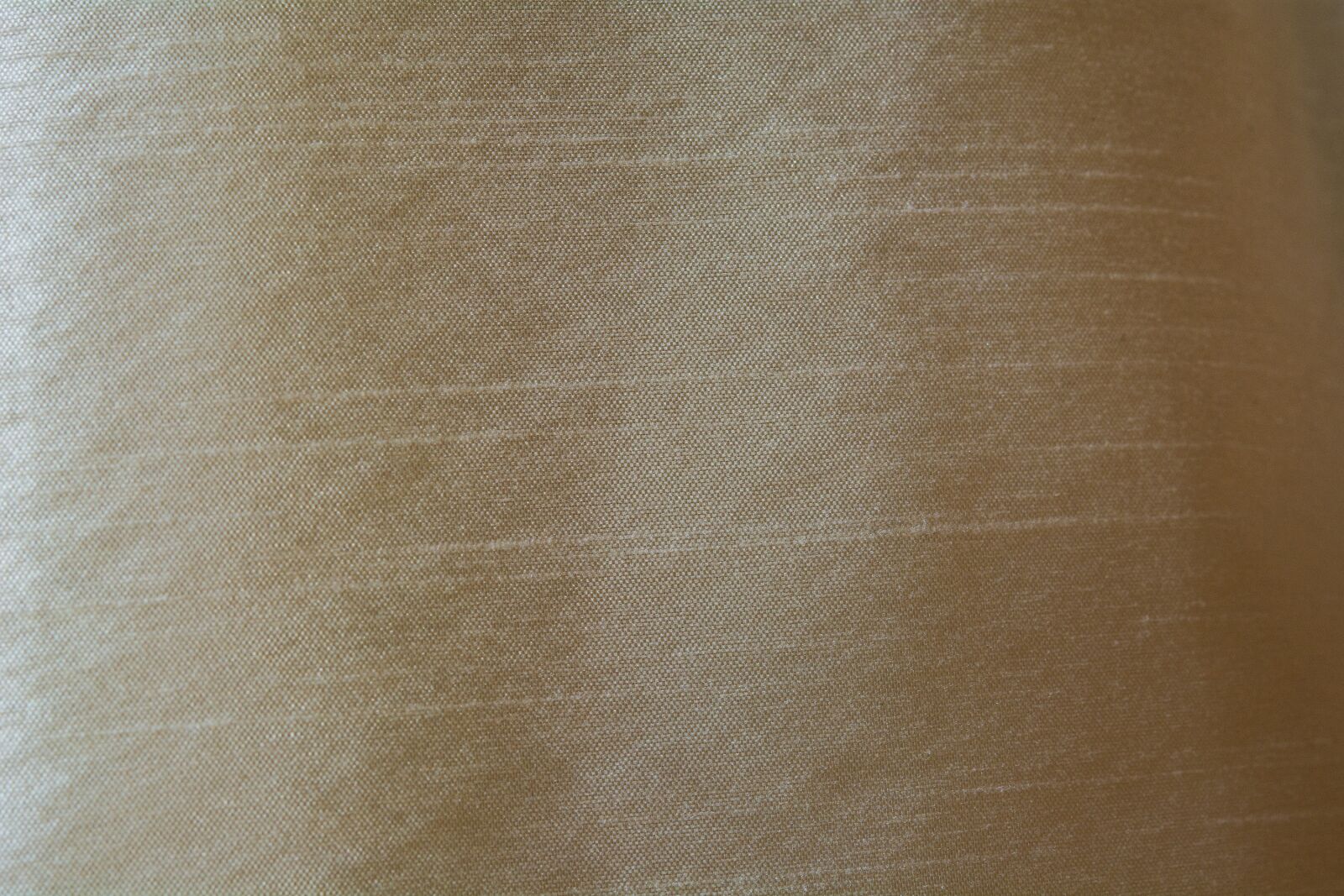 Nikon D7100 sample photo. Background, texture, beige photography