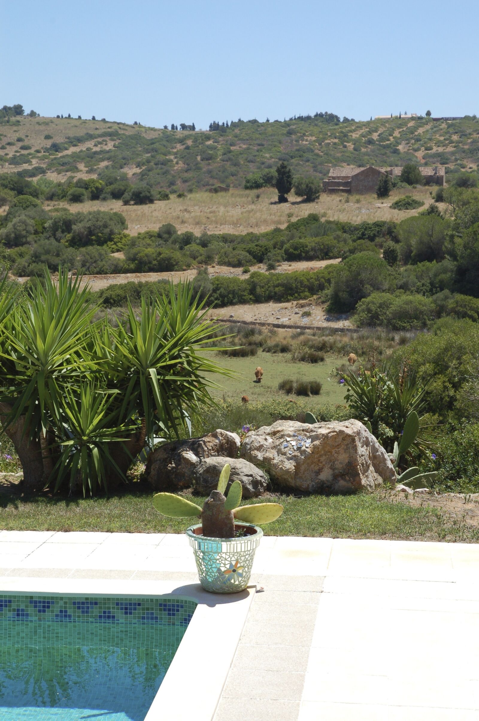 Nikon D50 sample photo. Pool, landscape, summer photography