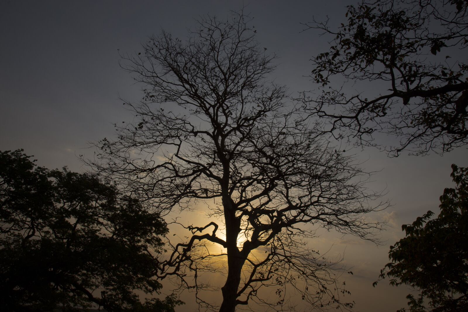 Canon EOS 6D + Canon EF 24-105mm F4L IS USM sample photo. Sunrise, sun, sunset photography