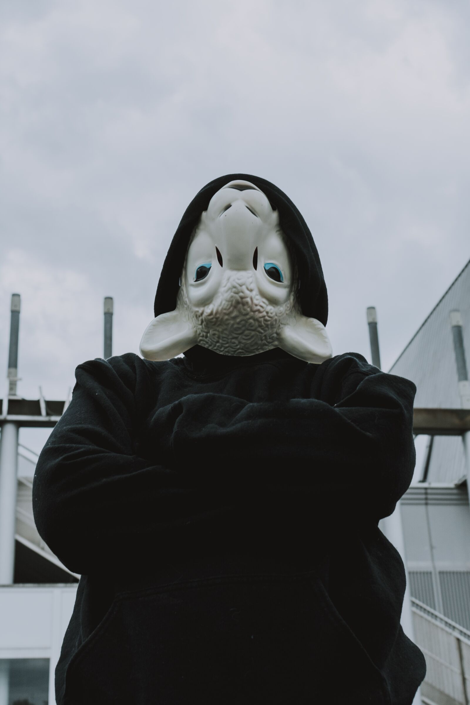 Nikon D5200 sample photo. Mask, wrong, sheep mask photography