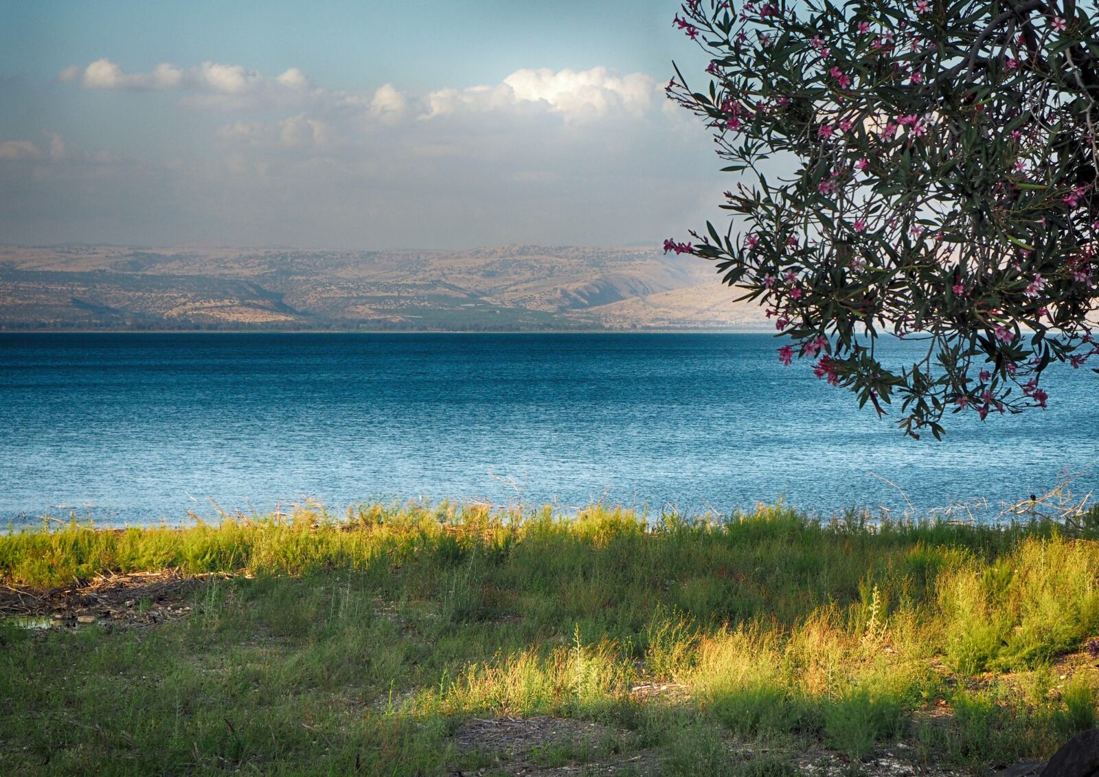 Olympus PEN E-PL7 + OLYMPUS M.12-50mm F3.5-6.3 sample photo. Sea, sea of galilee photography