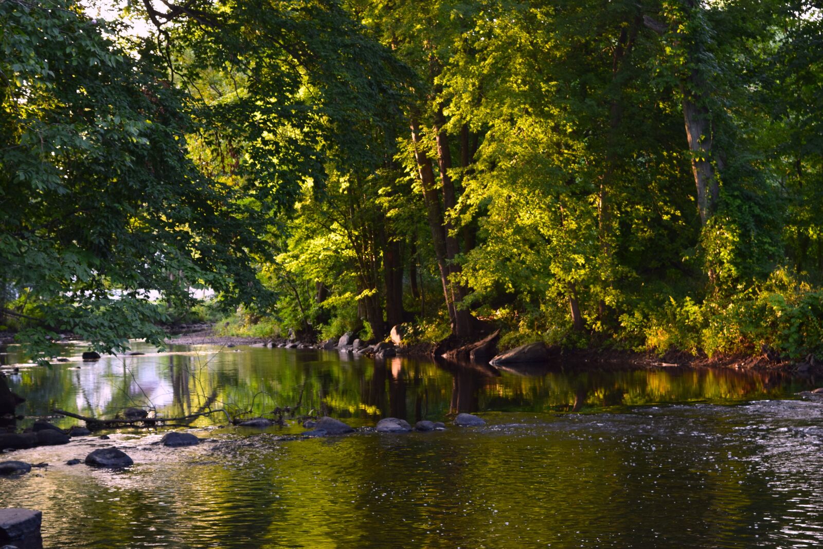 Nikon D3300 sample photo. River, sun, trees photography