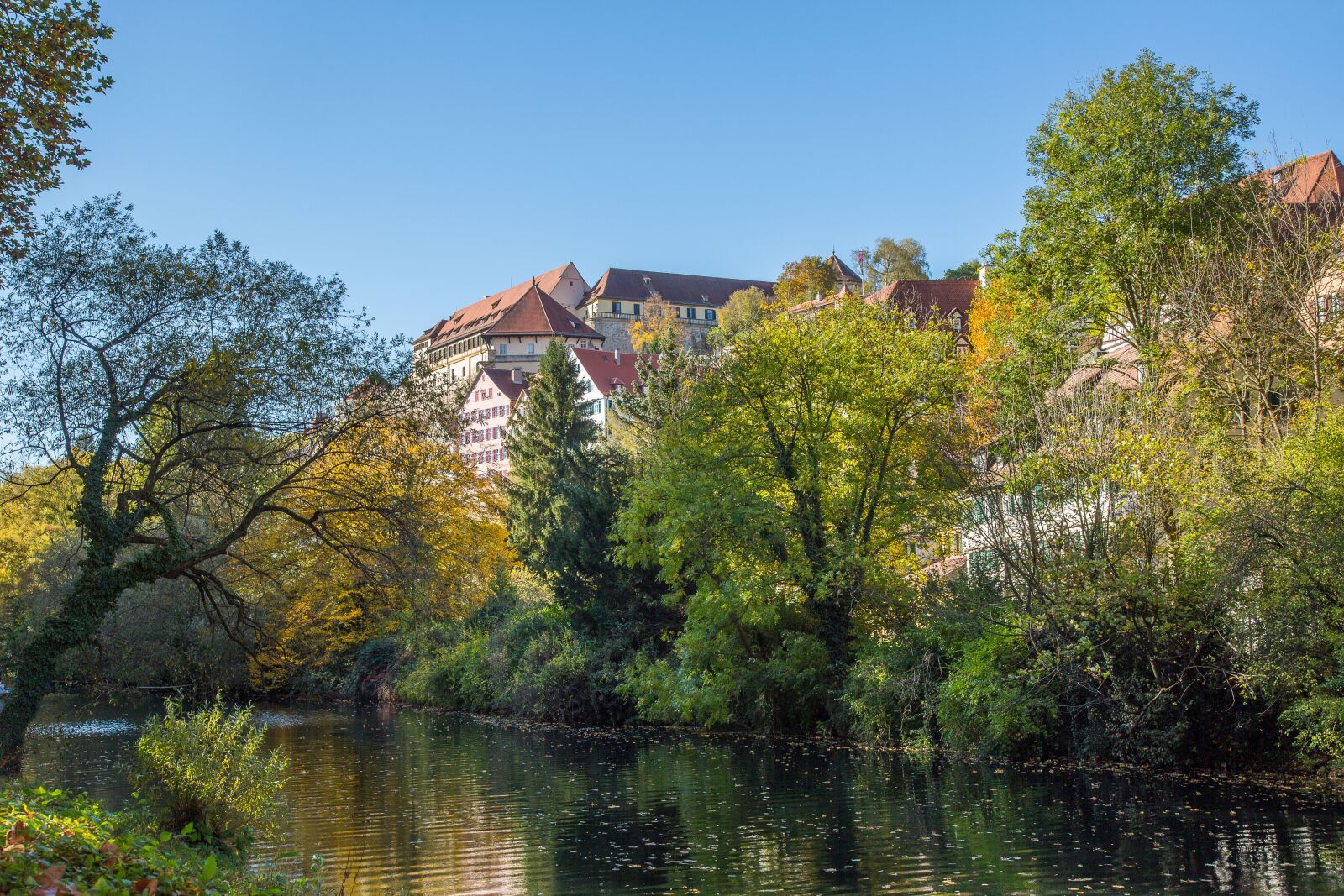Canon EF 24-105mm F4L IS USM sample photo. T bingen, castle hohent photography