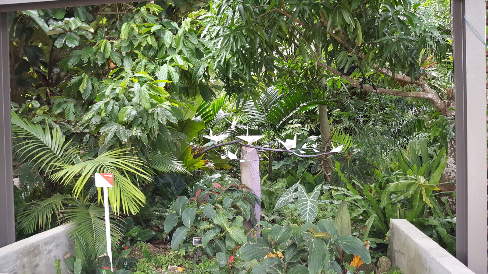 Samsung GALAXY S6 edge sample photo. Botanical, gardens photography