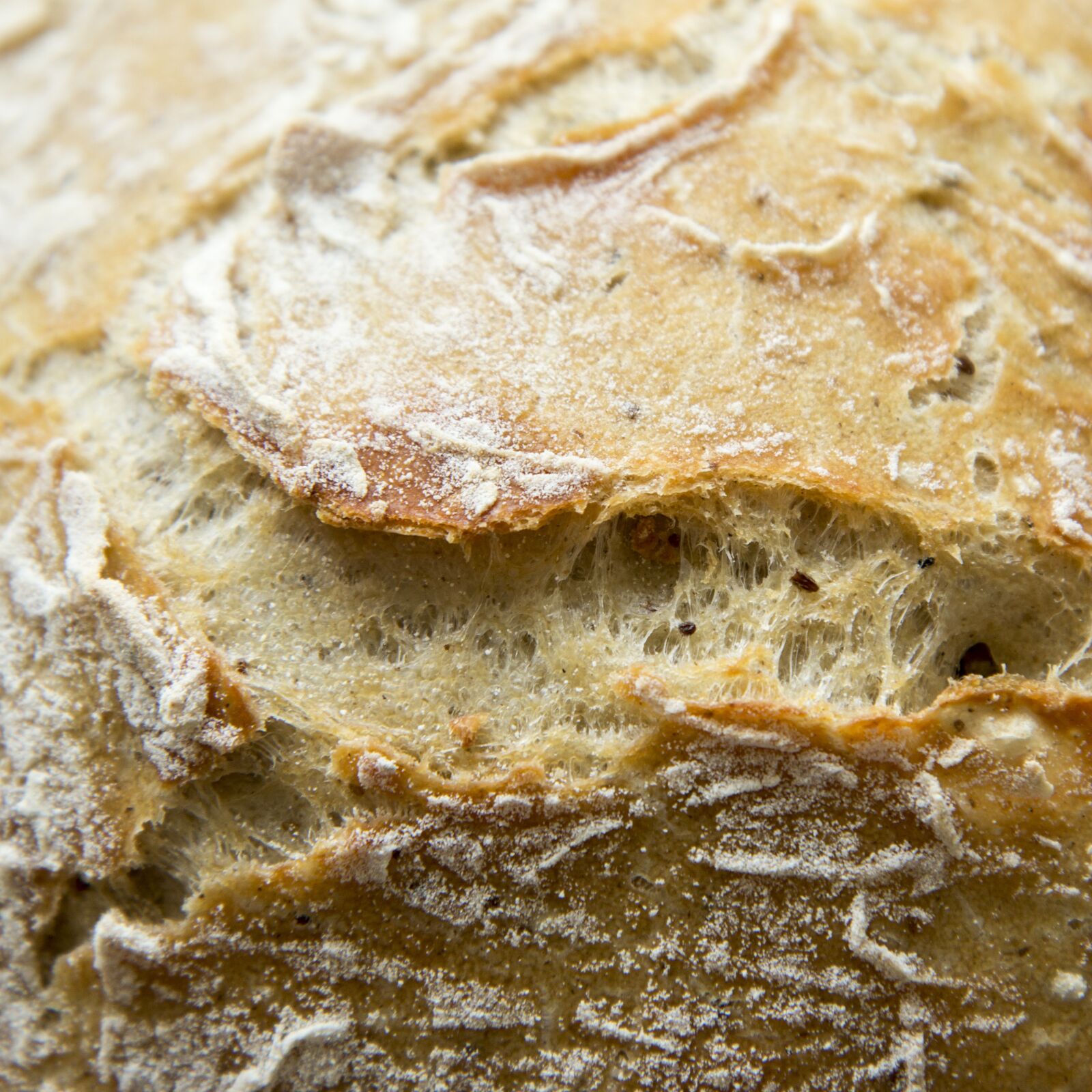 Canon EOS 70D sample photo. Bread, baking, meal photography
