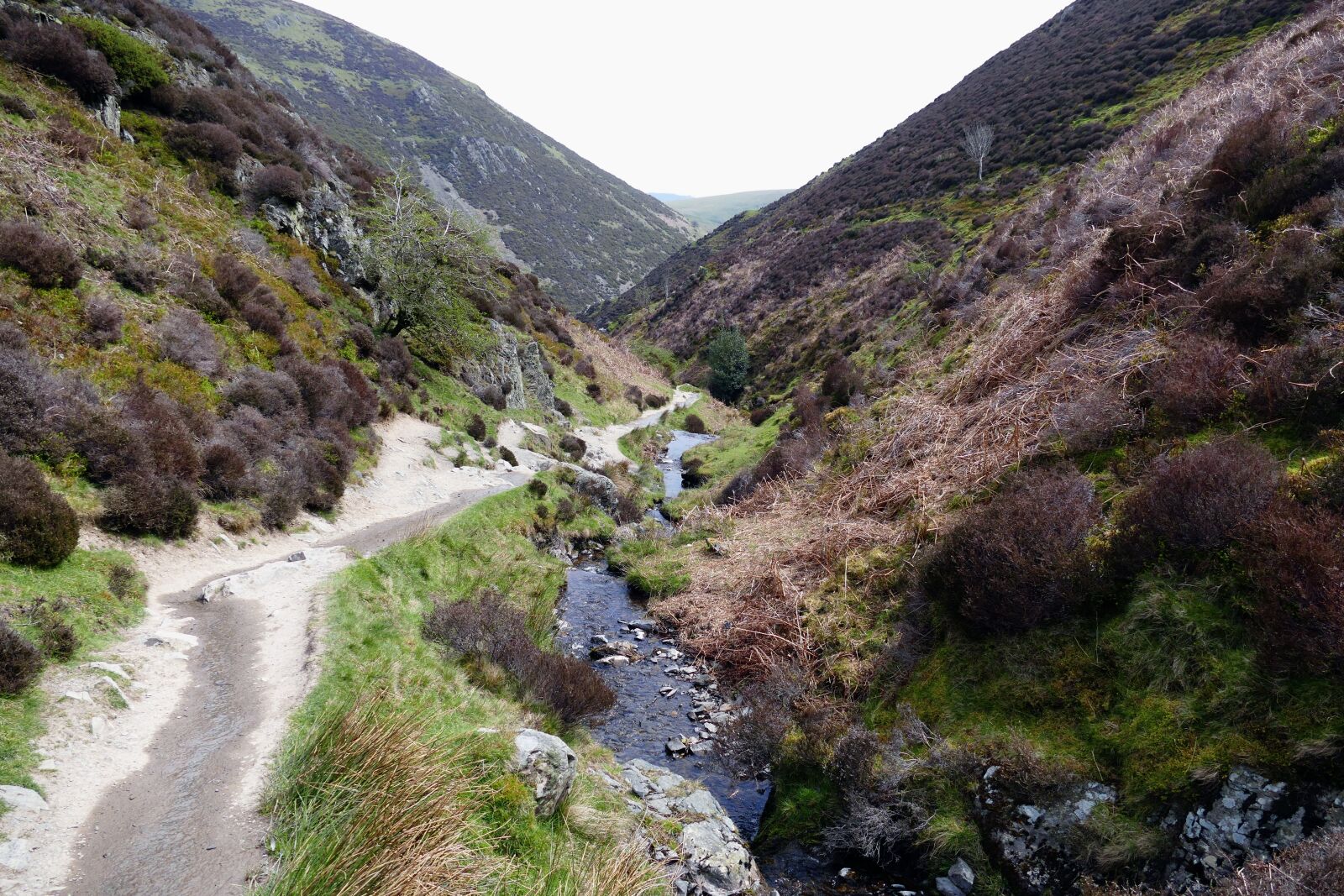 Panasonic Lumix DMC-FZ1000 sample photo. Stream, carding mill valley photography