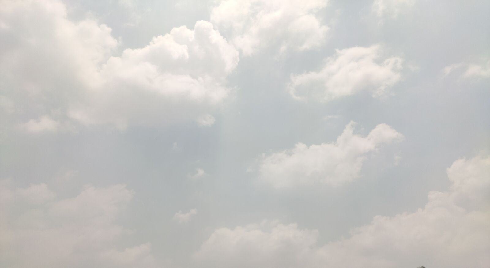 Xiaomi Redmi Note 7 Pro sample photo. Fog, weather, cloud photography
