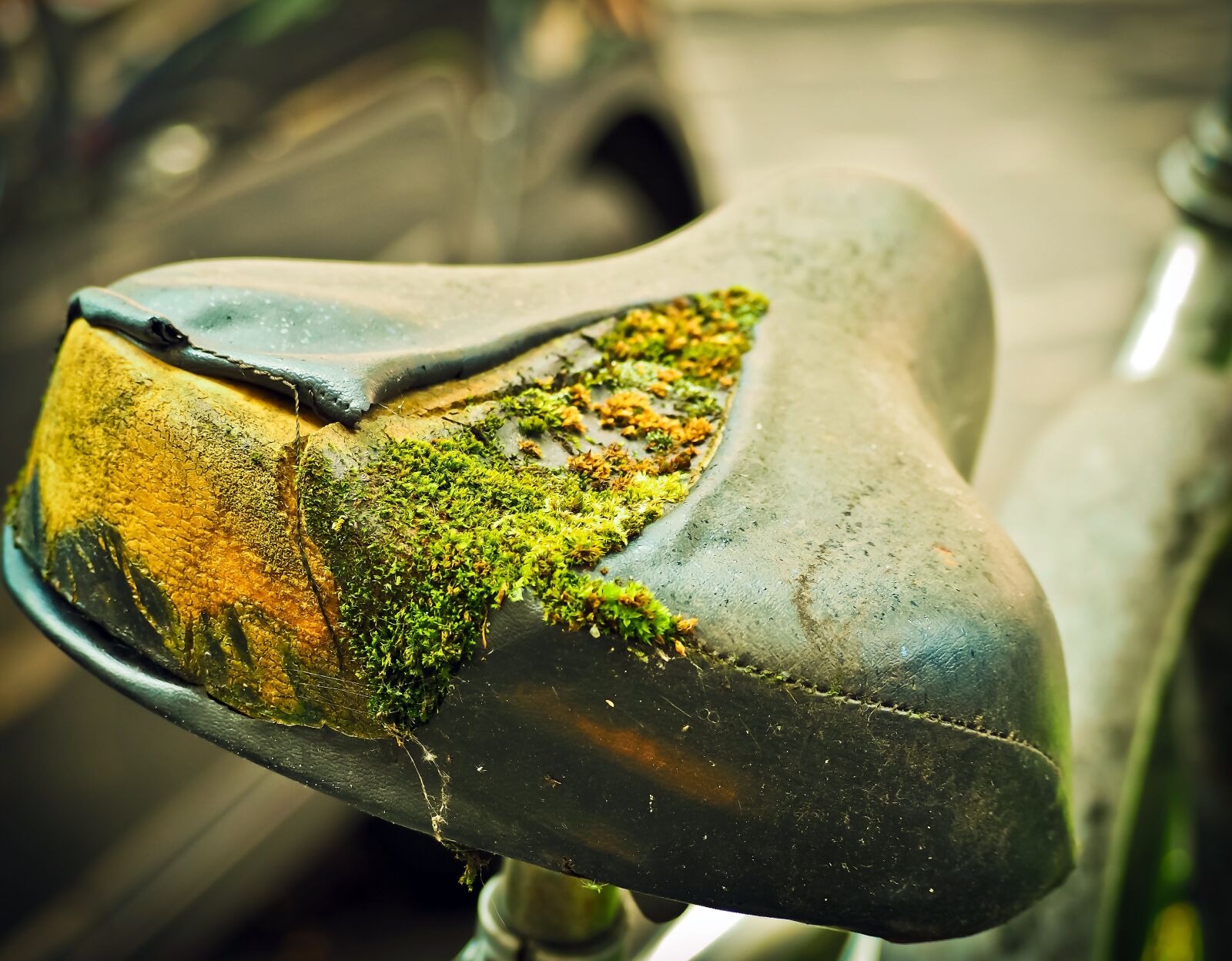Olympus OM-D E-M10 sample photo. Bike, saddle, wheel photography