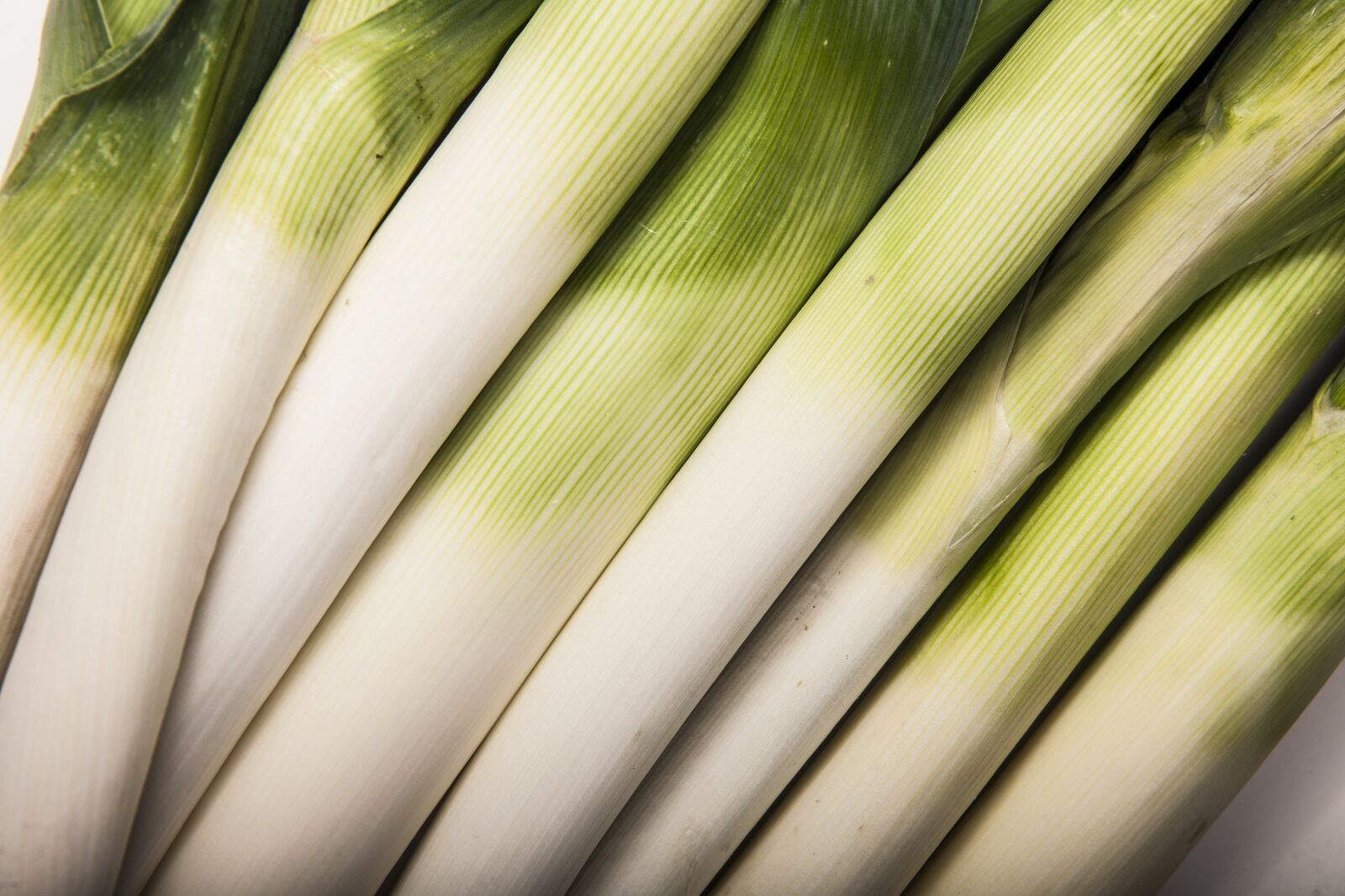 Nikon D3X sample photo. Leeks, vegetables, green photography