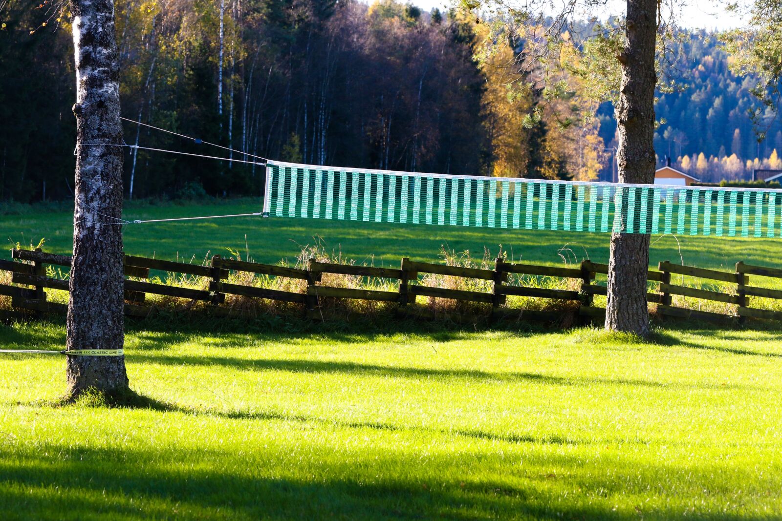 Canon EOS 7D Mark II sample photo. Net, volleyball net, grass photography