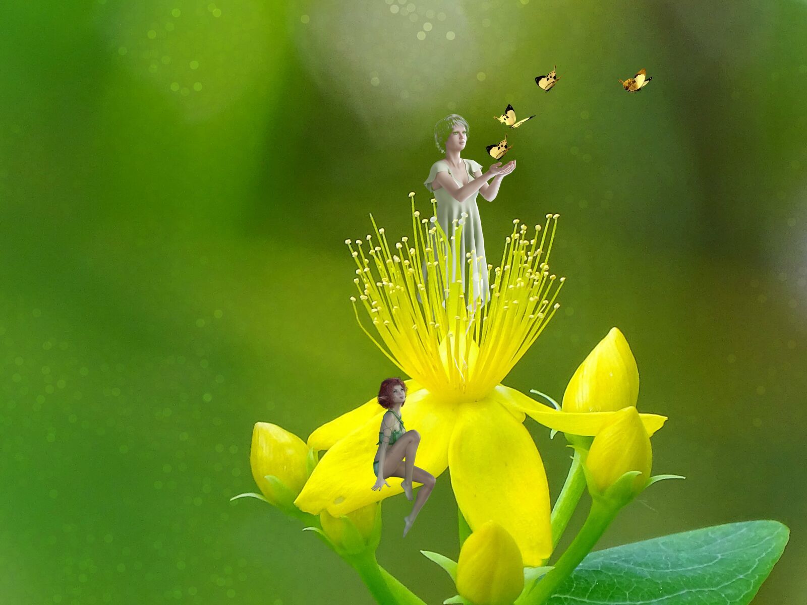 Sony Cyber-shot DSC-HX400V sample photo. Fantasy, elves, romantic photography