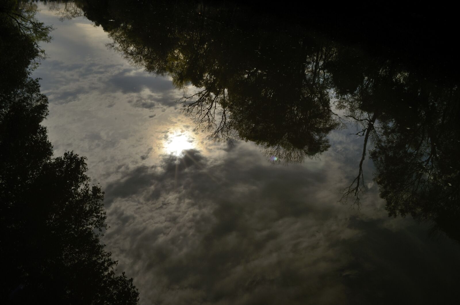 Nikon D5100 sample photo
