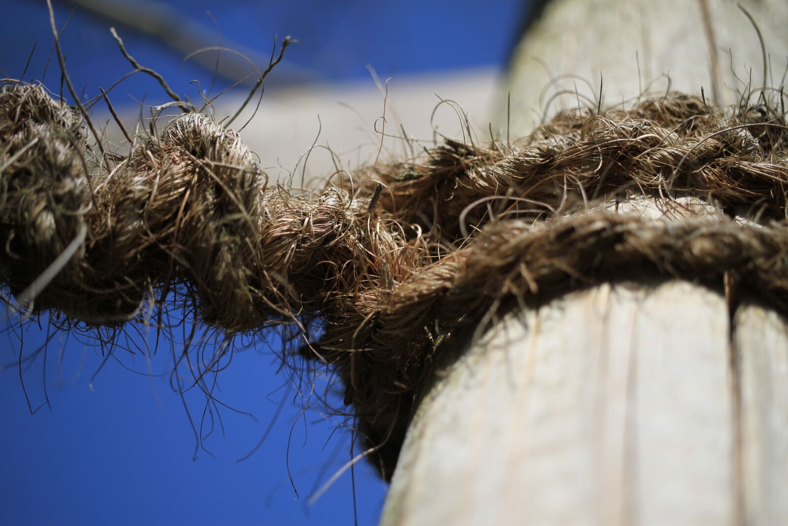 Canon EOS 7D sample photo. Rope, dew, connection photography