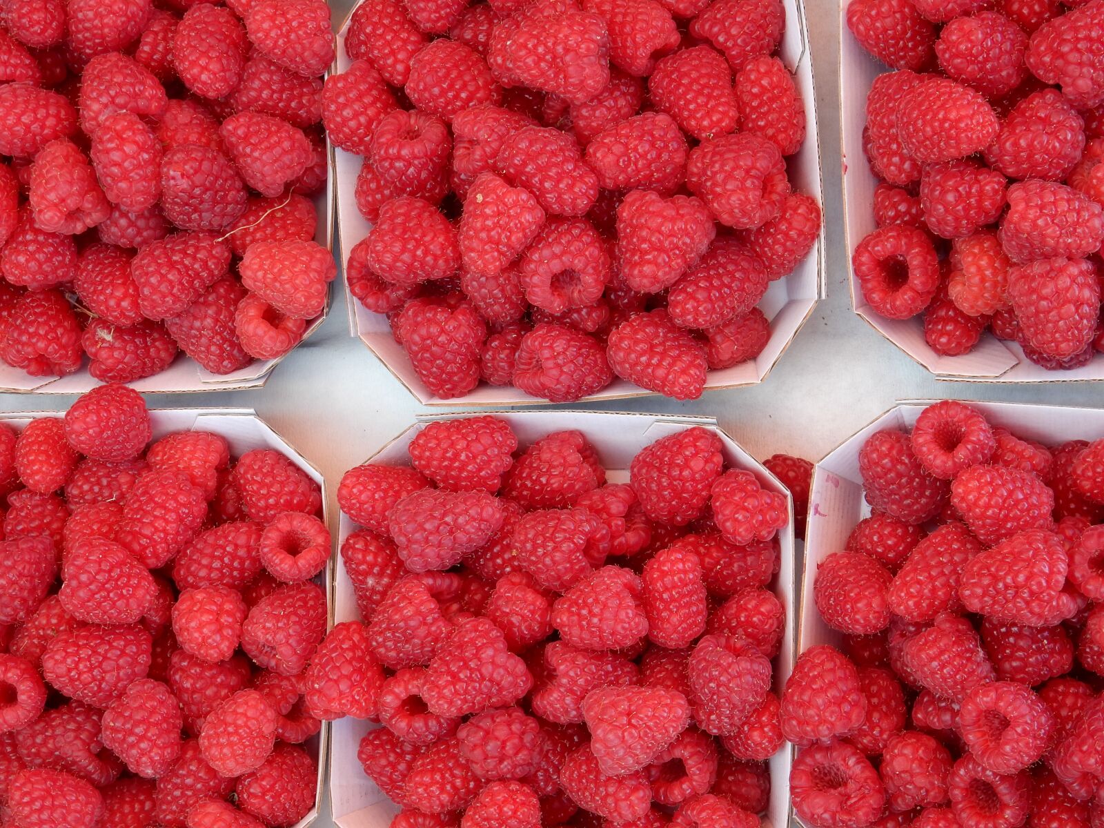 Nikon Coolpix S9900 sample photo. Raspberries, red, fruit photography