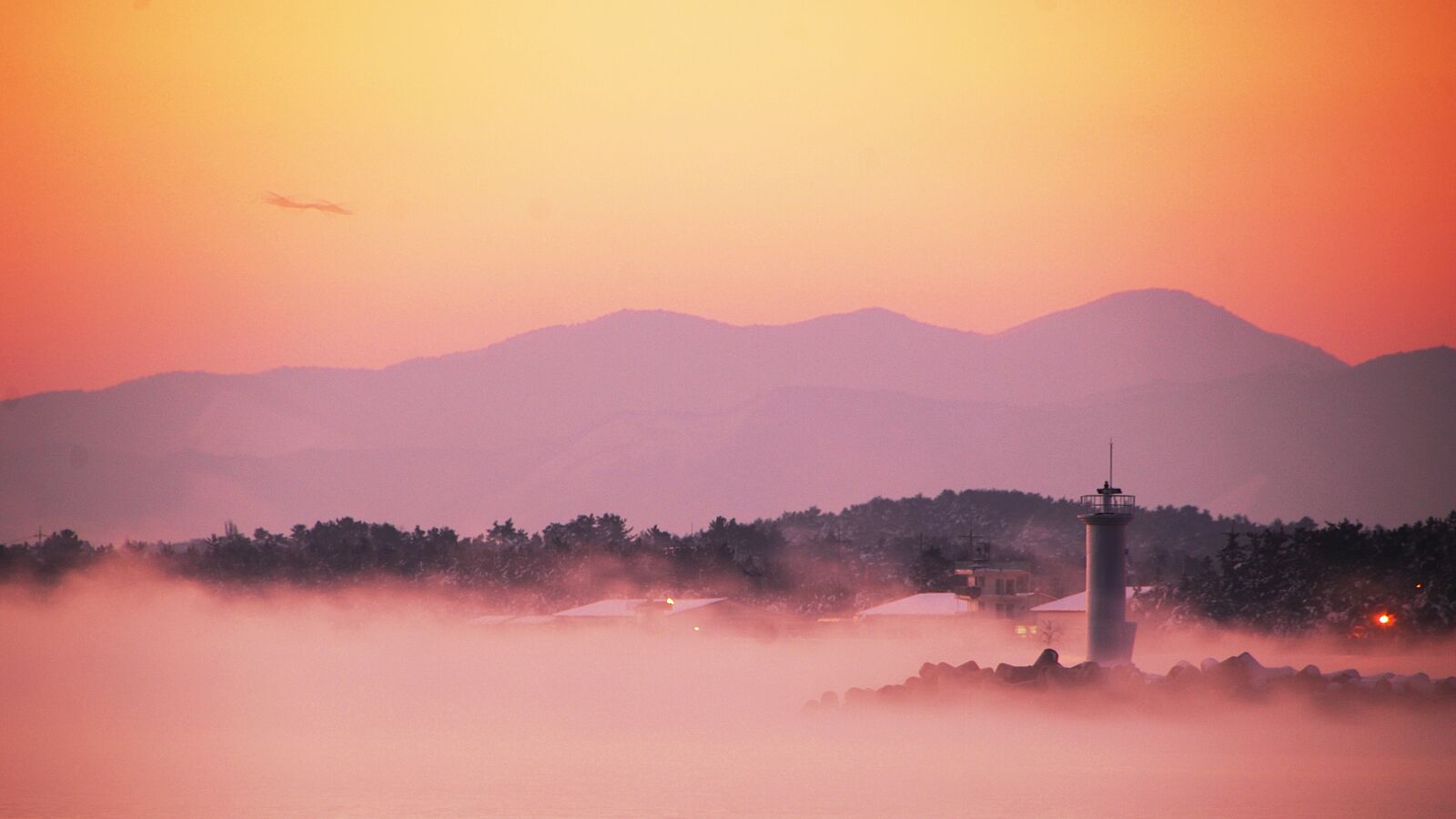 Nikon D2Xs sample photo. This type, dawn, fog photography