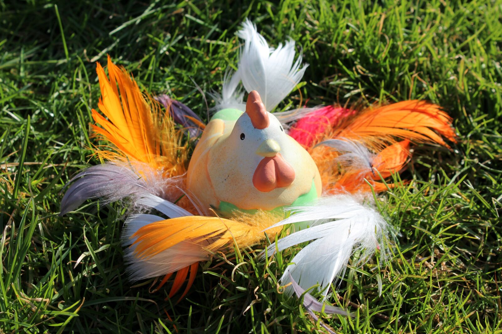 Canon EOS 1200D (EOS Rebel T5 / EOS Kiss X70 / EOS Hi) sample photo. The hen, colorful, spring photography