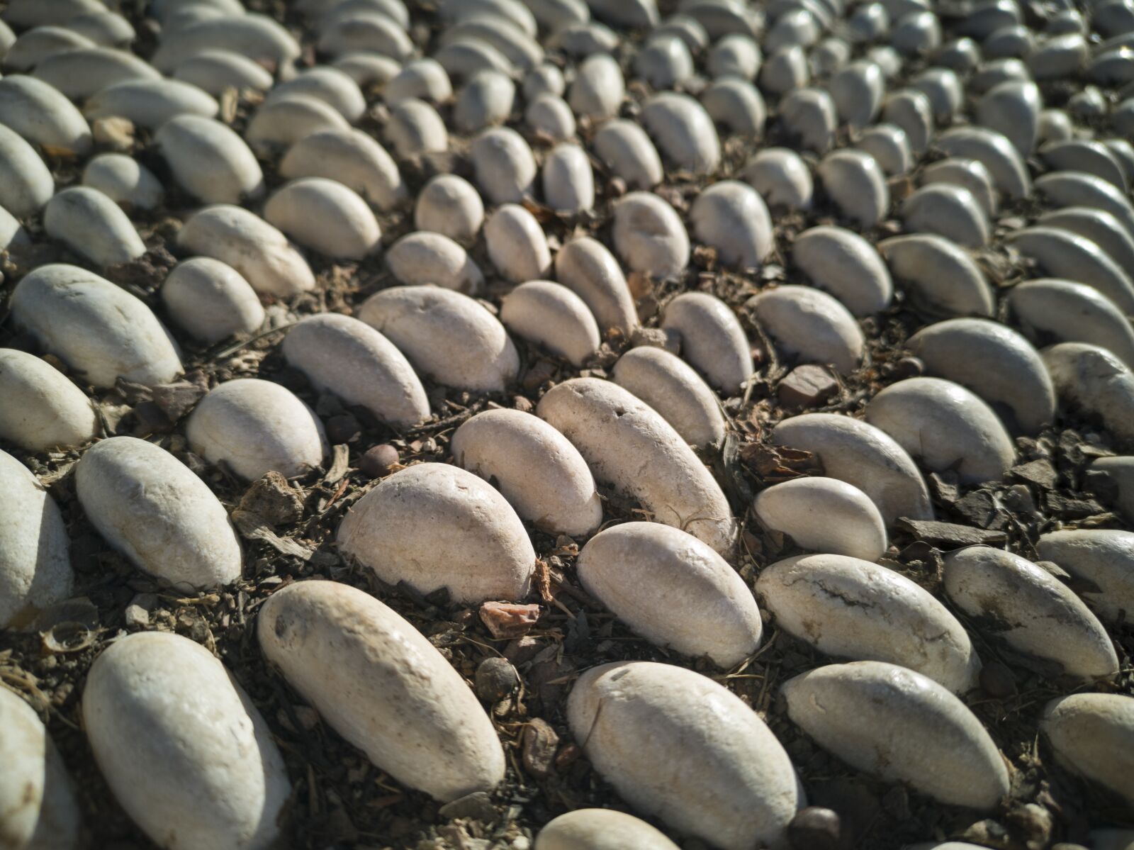 HUAWEI CLT-L09 sample photo. Stone, texture, pattern photography