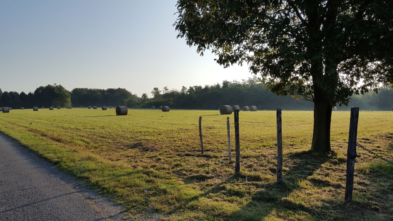 Samsung Galaxy S6 sample photo. Landscape, campaign, fence photography