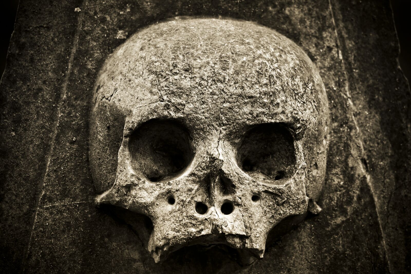Olympus OM-D E-M10 sample photo. Skull, skeleton, horror photography