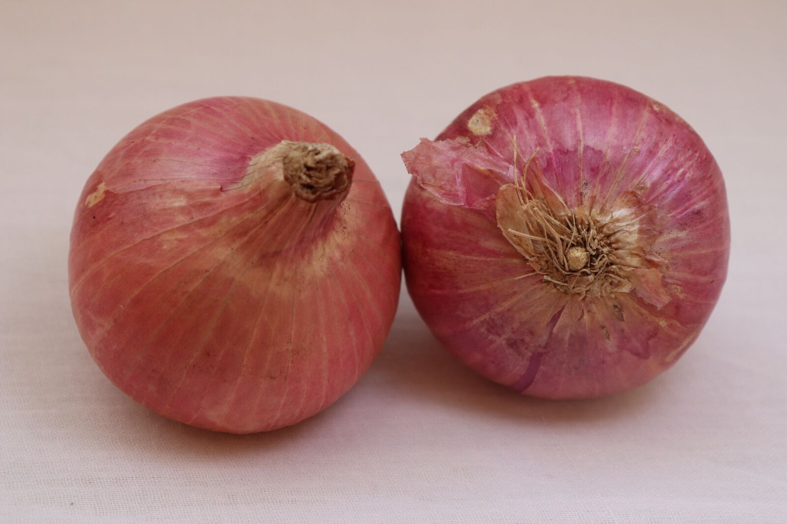 Canon EOS 77D (EOS 9000D / EOS 770D) sample photo. Onion, vegetable, vegetables photography