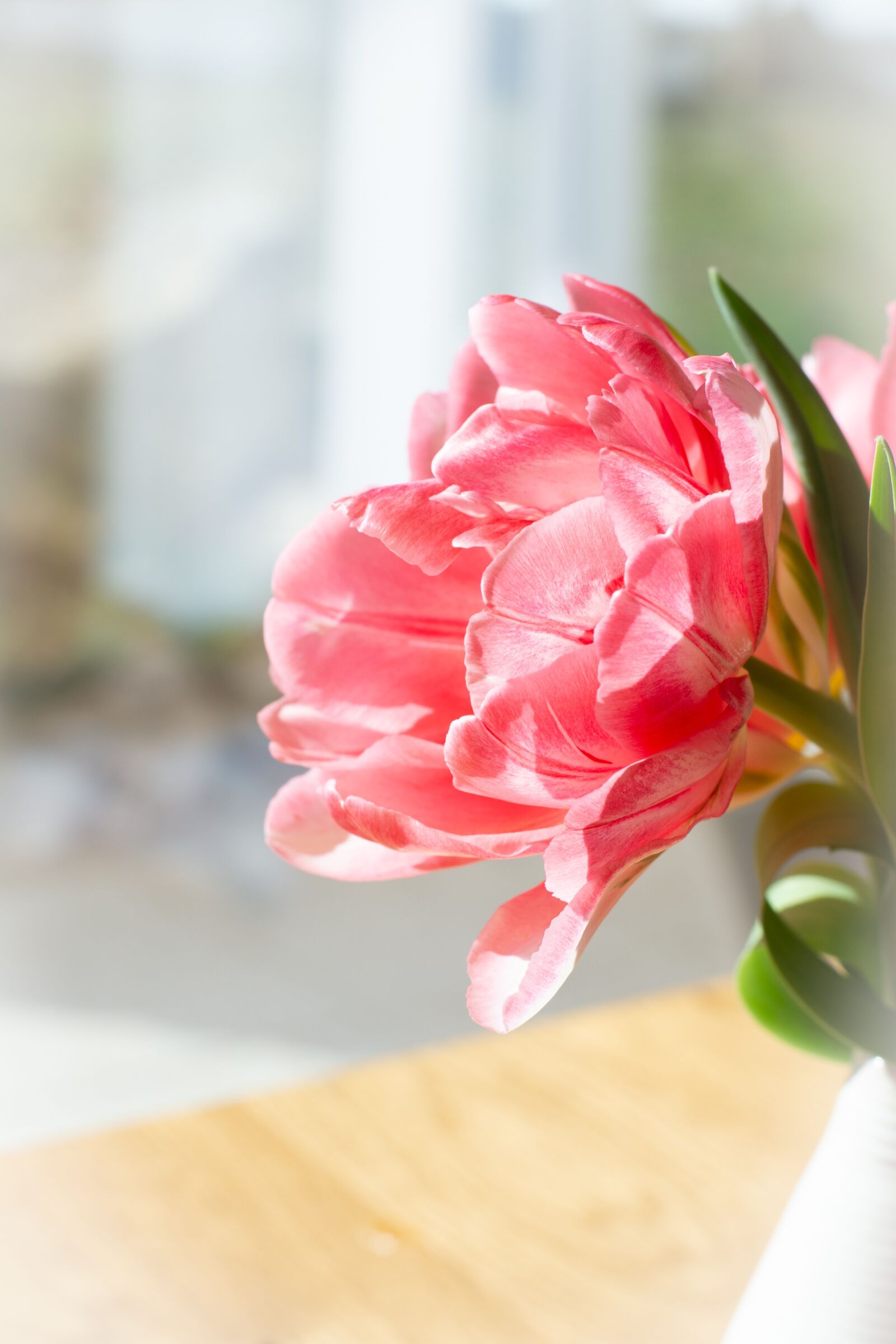 Nikon D7100 sample photo. Flower, blossom, bloom photography