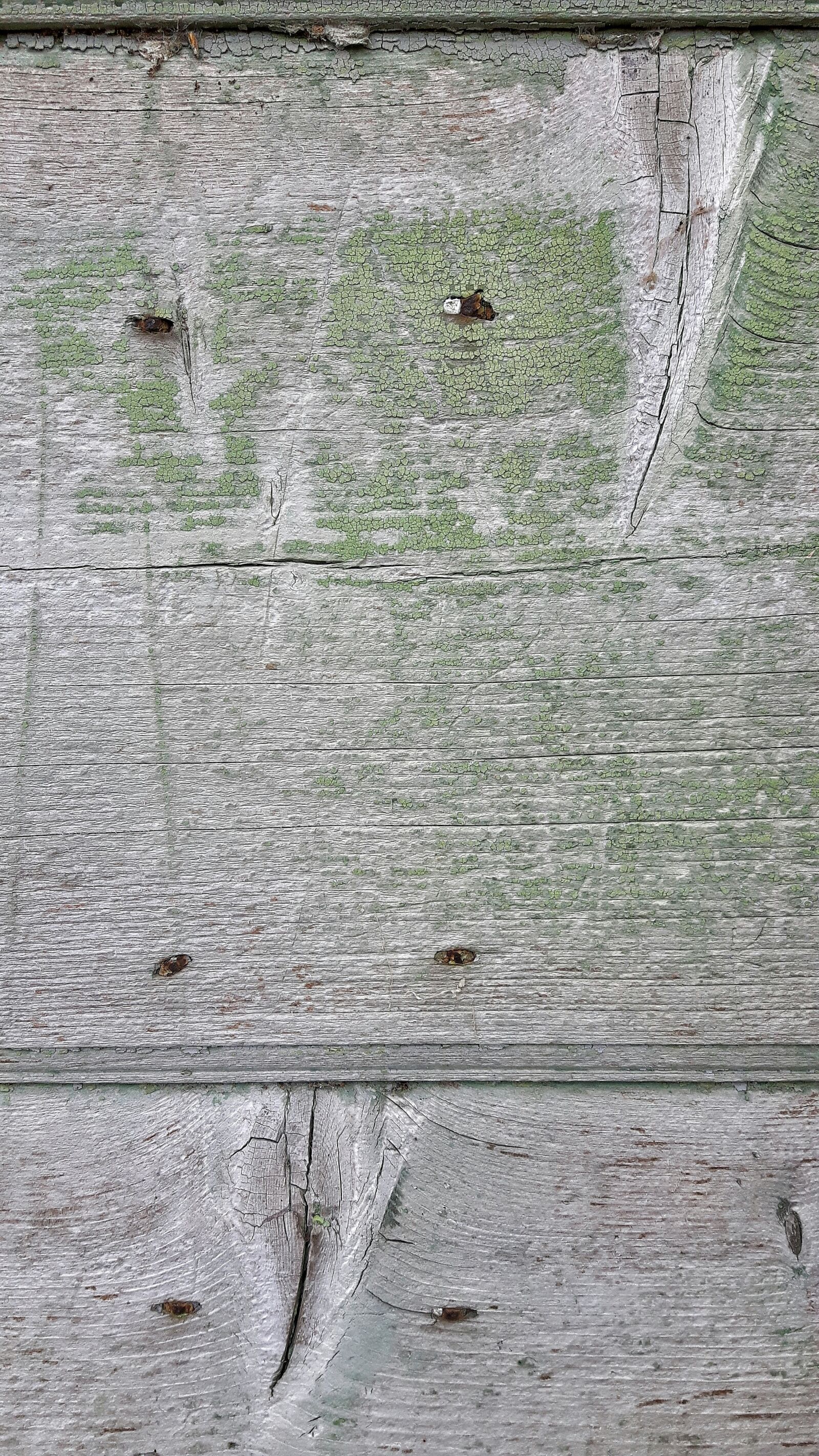 Samsung Galaxy S5 Neo sample photo. Wood, texture, paint photography