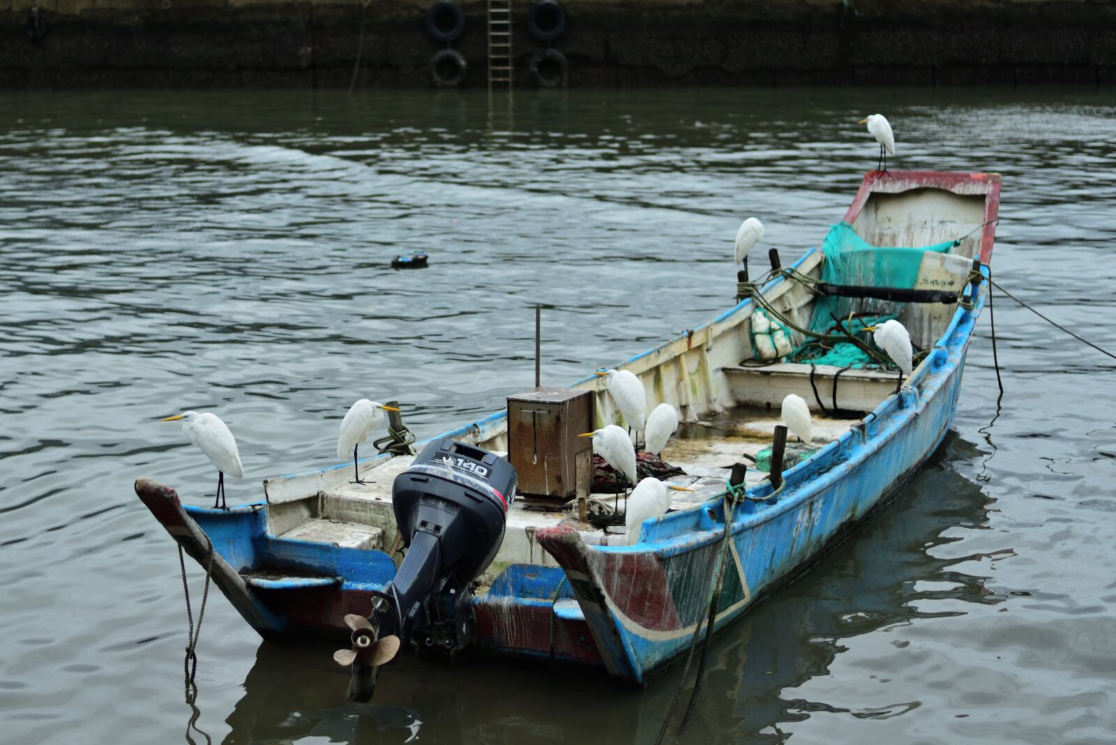 Nikon D750 sample photo. Fishing boats, ship, transport photography