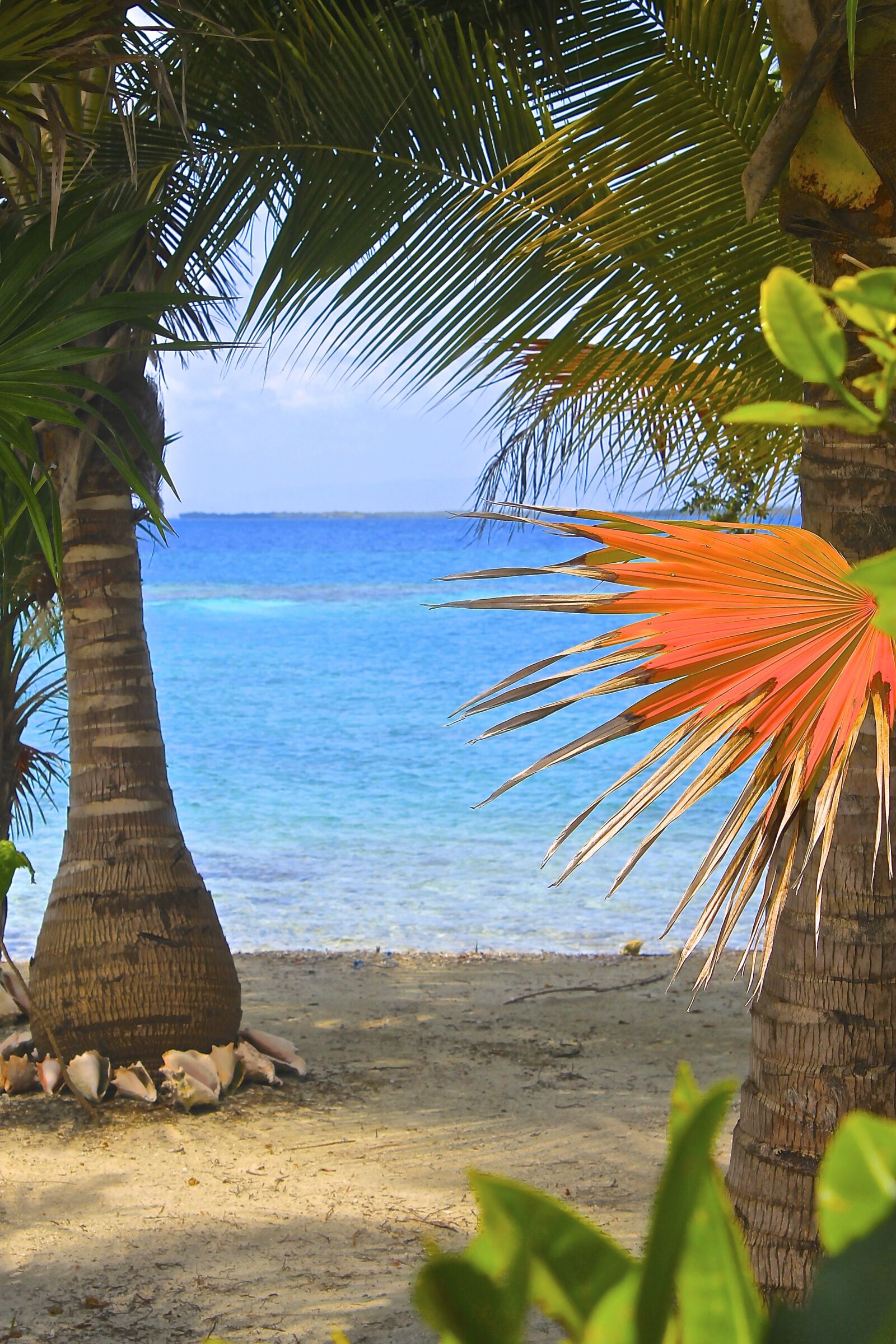 Canon EOS 1100D (EOS Rebel T3 / EOS Kiss X50) sample photo. Belize, nature, scenic photography