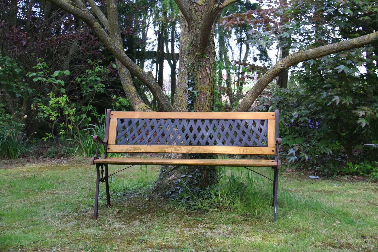 Canon EOS 70D sample photo. Bench, metal, seat photography
