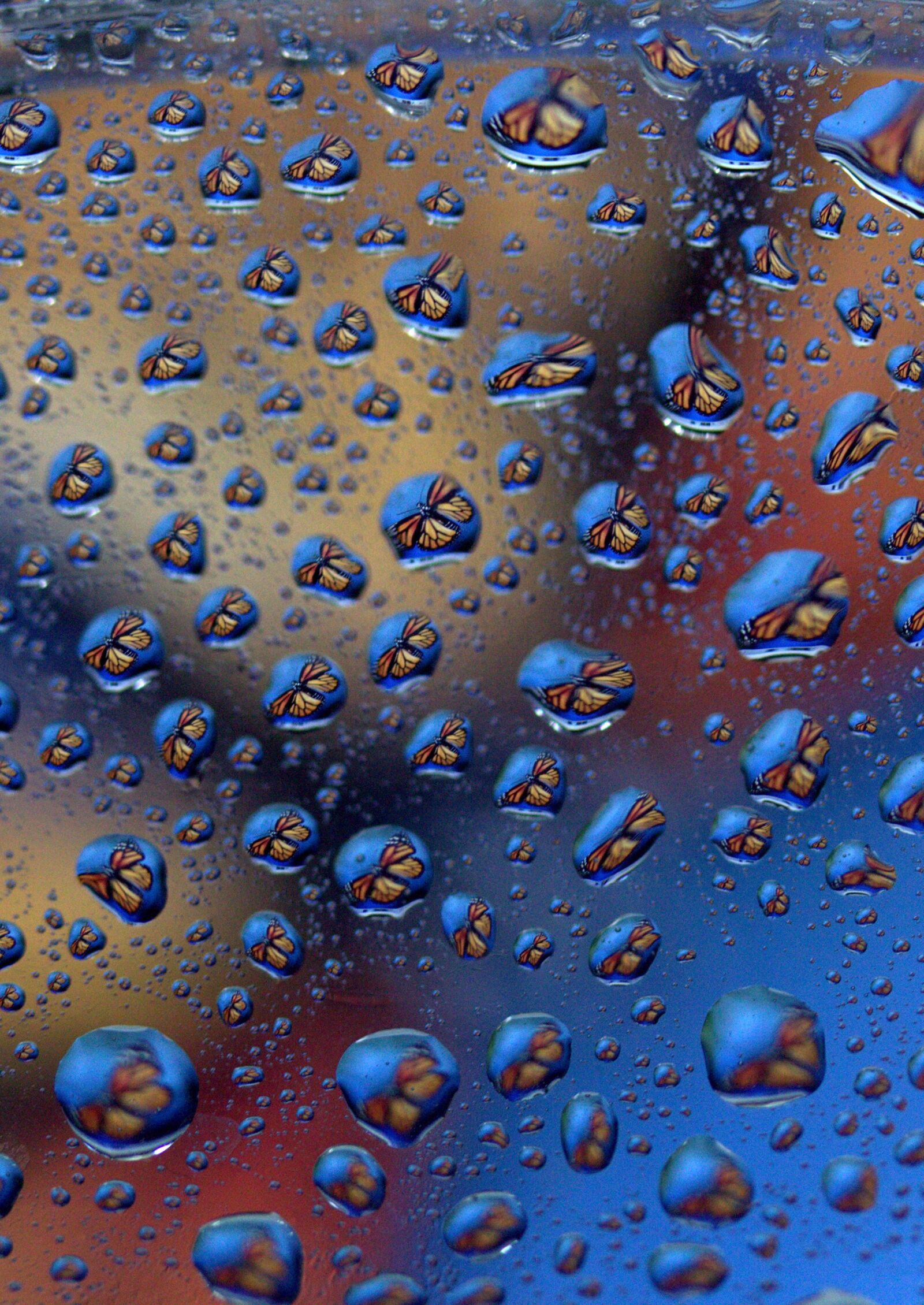 Canon EF-S 60mm F2.8 Macro USM sample photo. Drops, reflection, water photography
