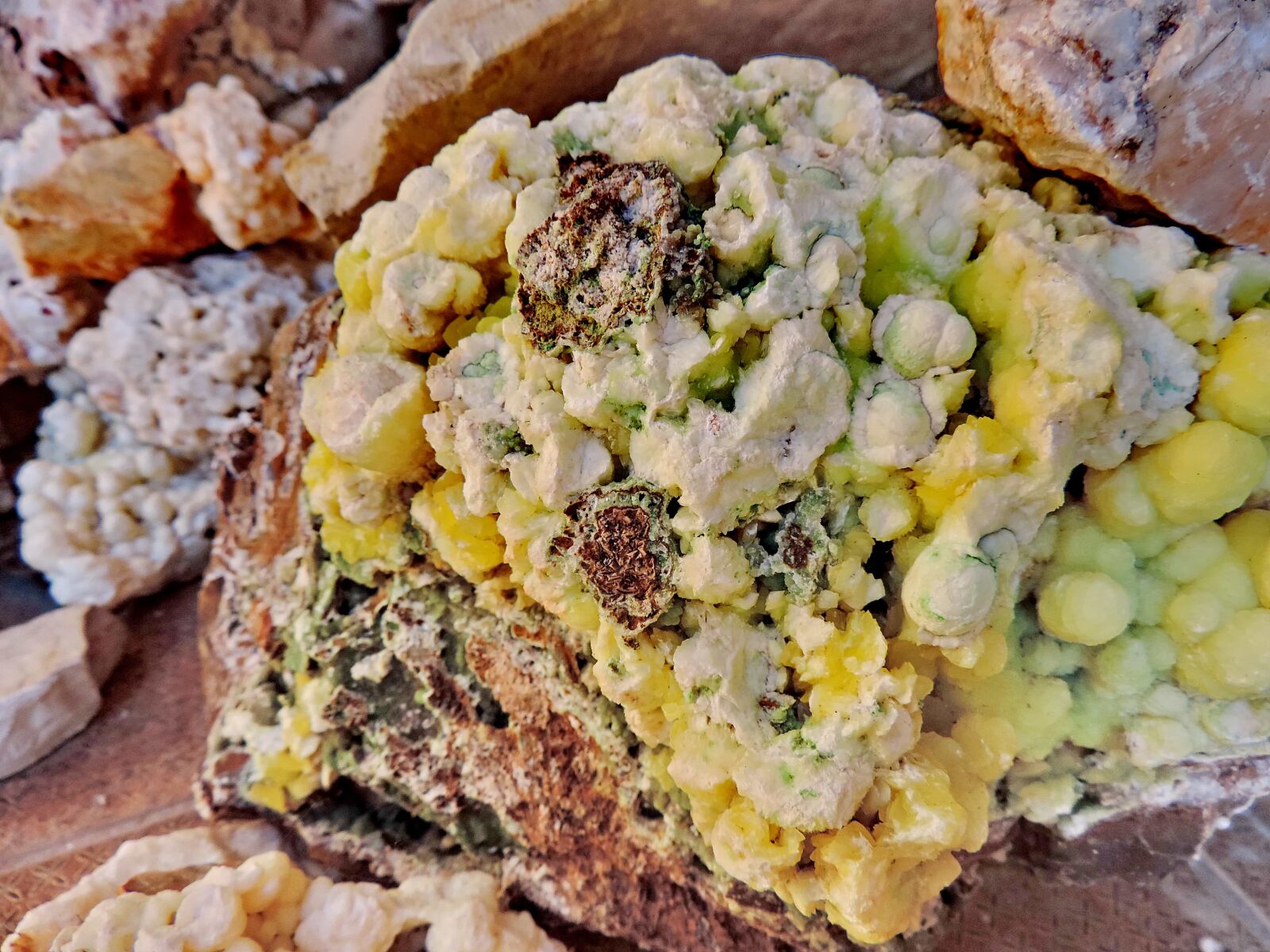 Nikon Coolpix P520 sample photo. Upclose, vegetable, rock, stone photography