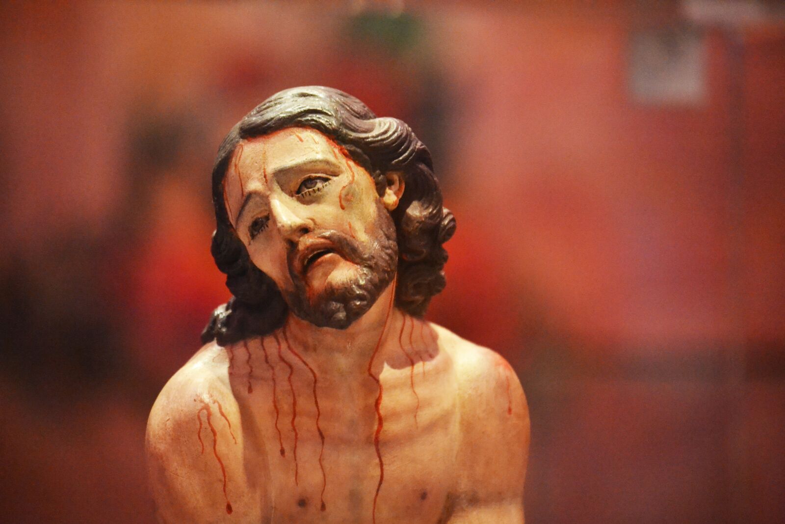 Nikon D3100 sample photo. Christ, blood, stations of photography