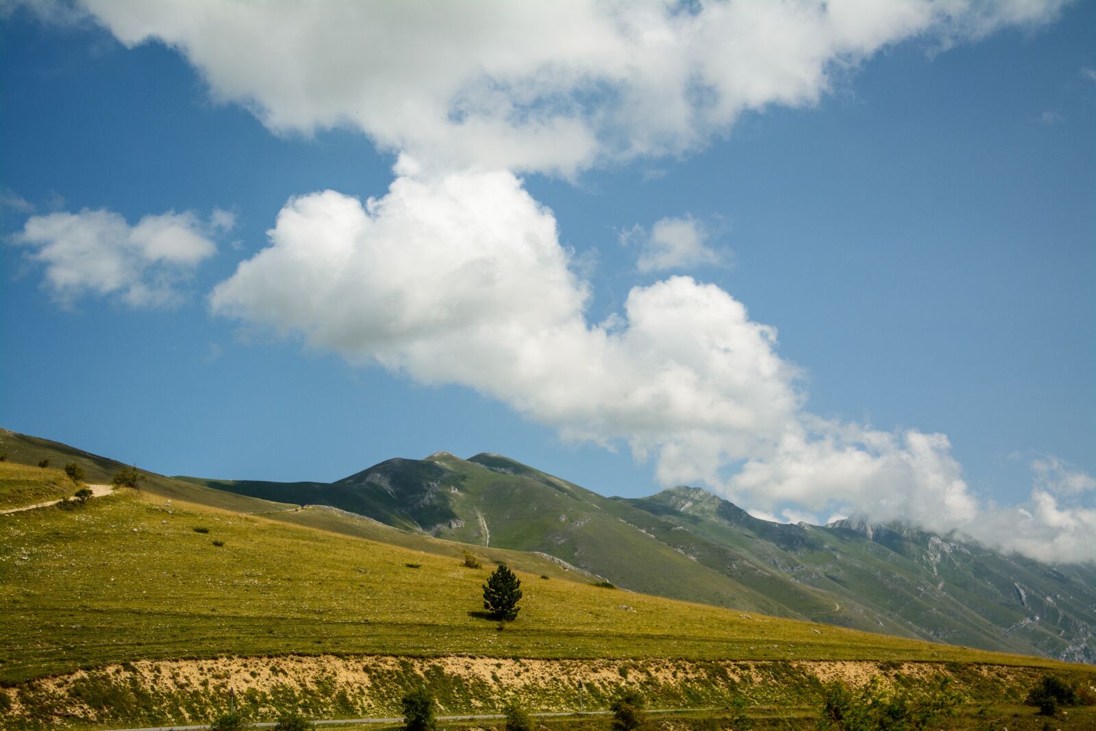 Nikon D5200 sample photo. Park, nature, landscape photography