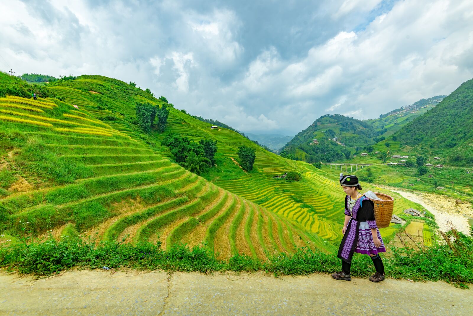 Nikon D750 sample photo. Terraces, vietnam, silk photography