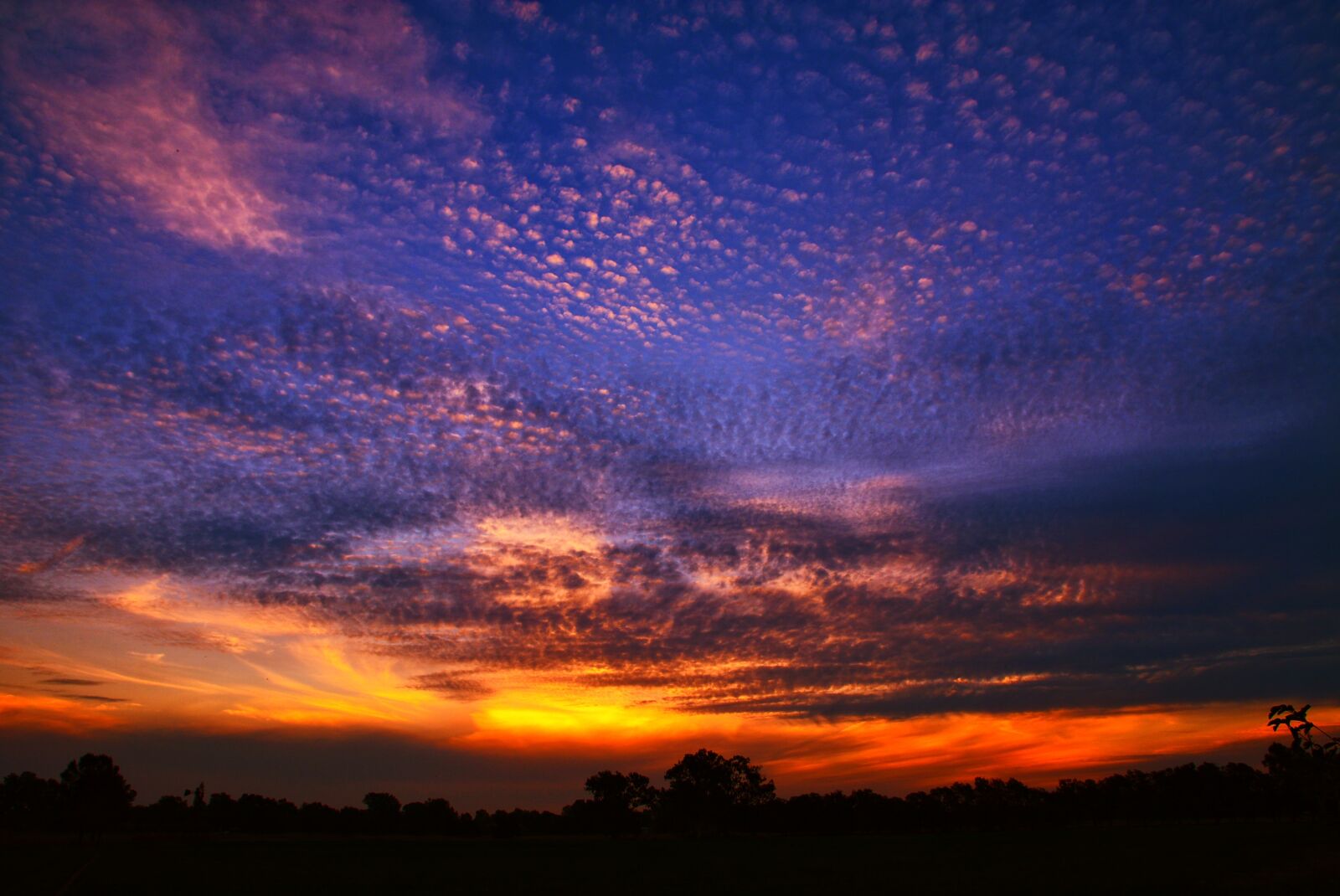 Nikon D5200 sample photo. Sunset, nature, panoramic photography