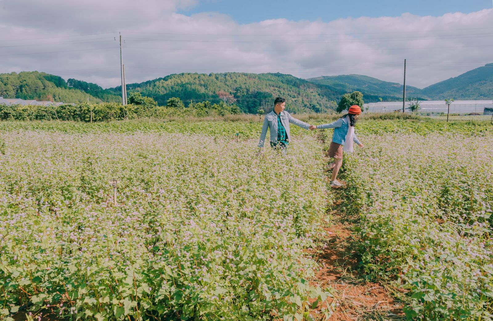 Nikon D700 sample photo. Landscape, travel, cute photography