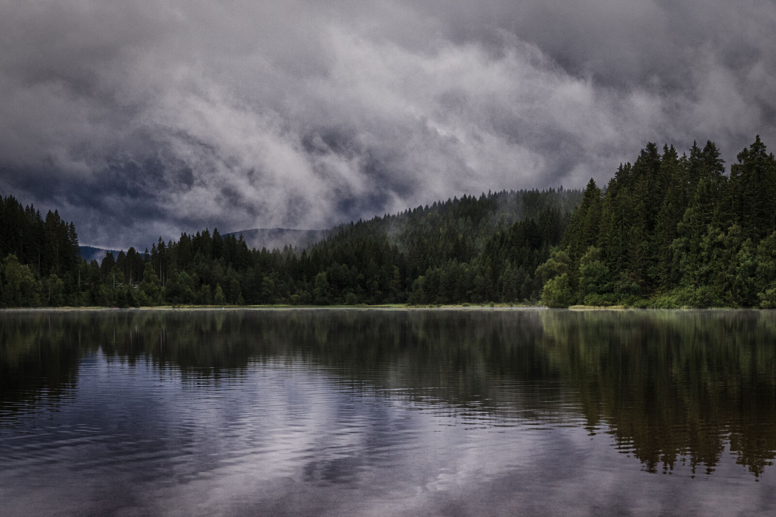 30mm F1.4 DC DN | Contemporary 016 sample photo. Clouds, conifers, fir, trees photography