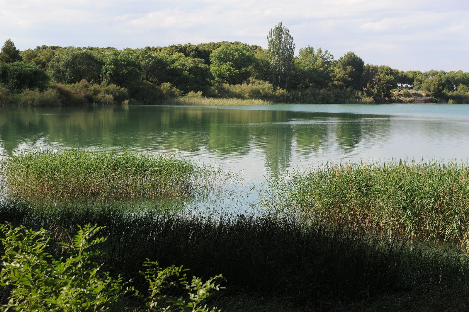 Nikon D700 sample photo. Lake, green, water photography