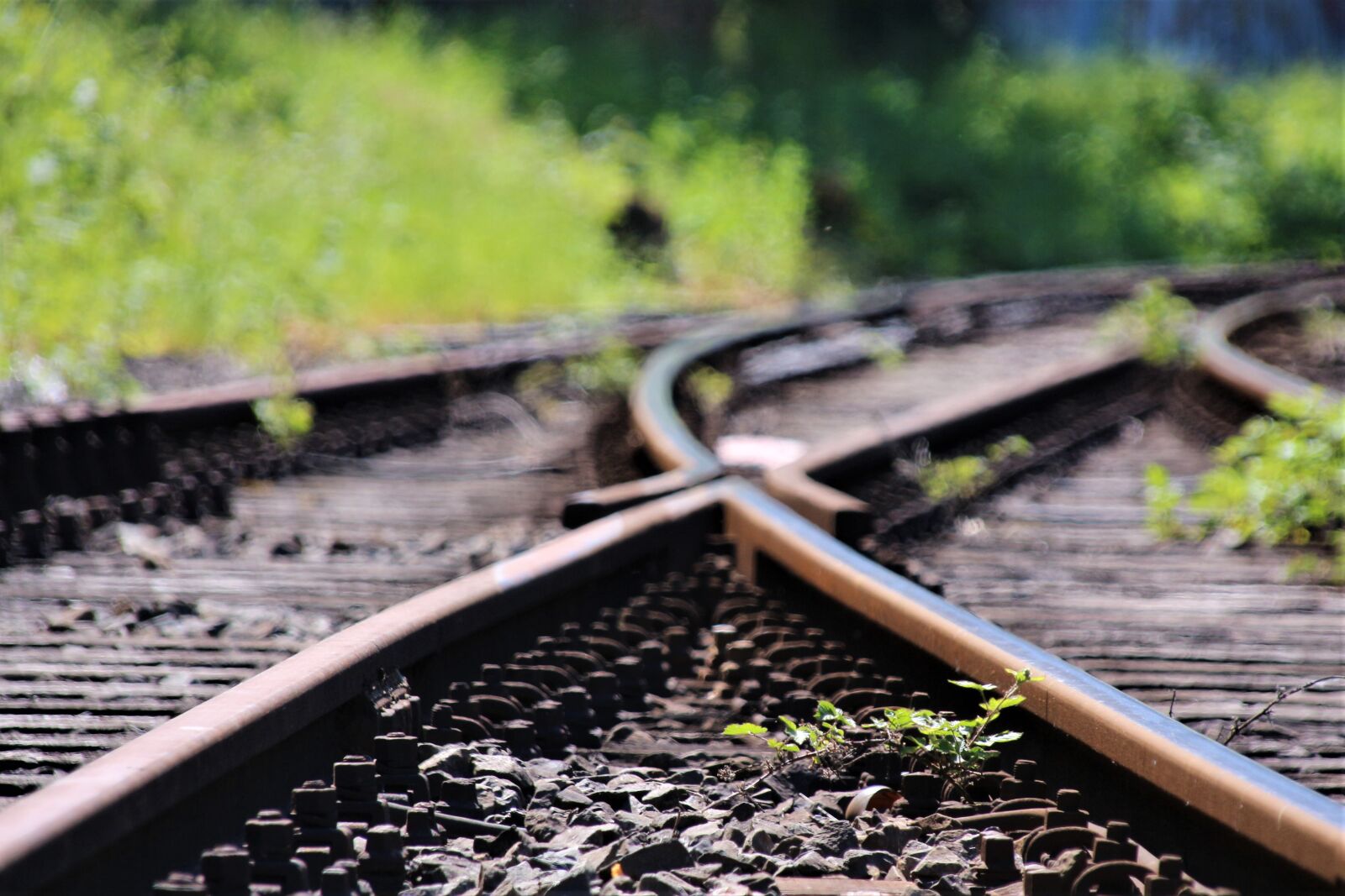 Canon EOS 700D (EOS Rebel T5i / EOS Kiss X7i) sample photo. Rails, soft, gleise photography