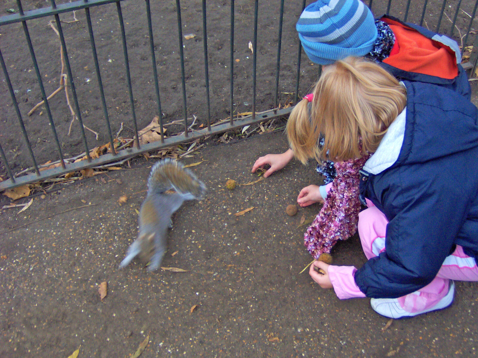 HP Photosmart M307 sample photo. Children, cold, feed, hat photography