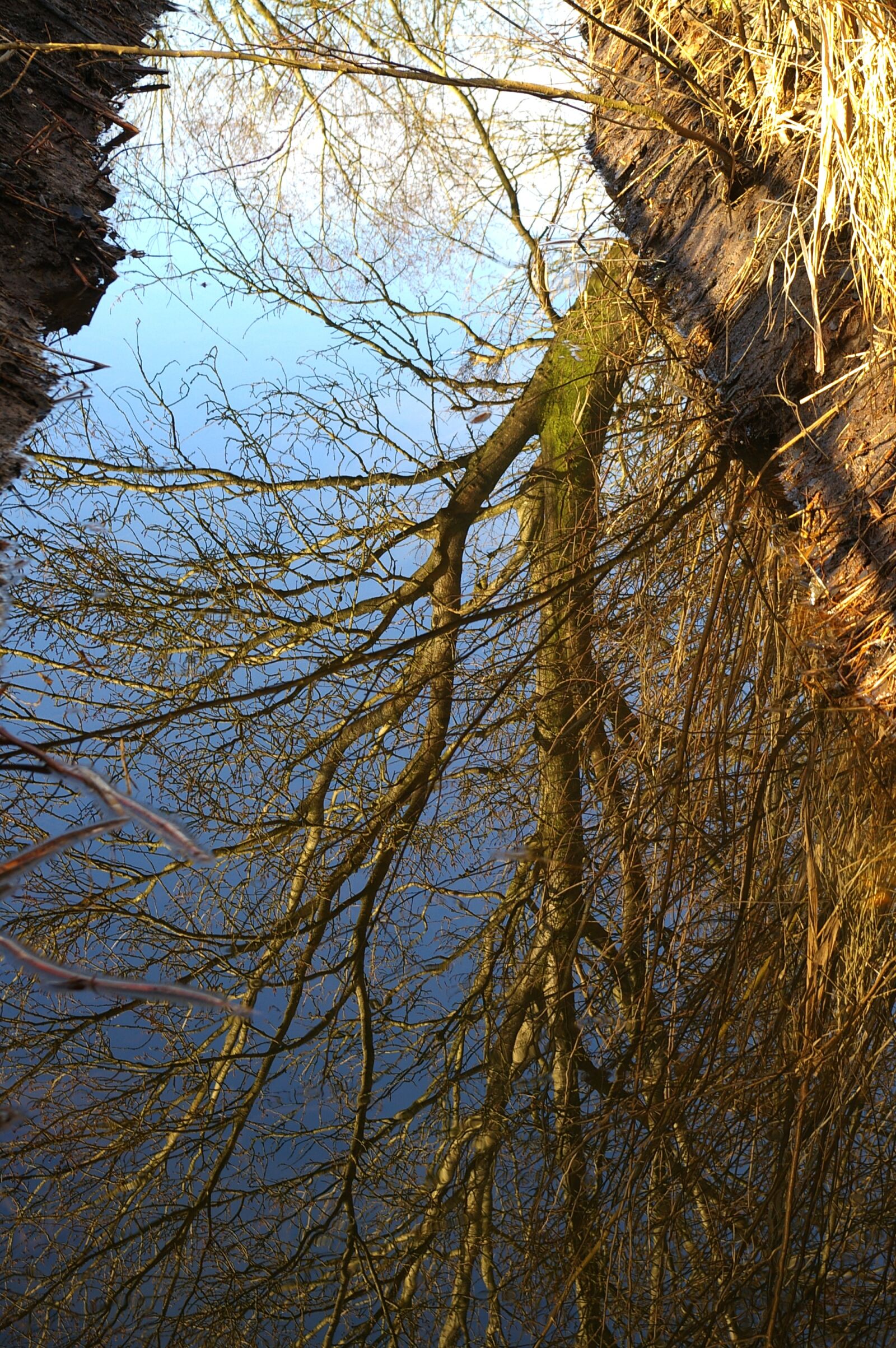 Pentax *ist DL2 sample photo. Nature, bach, mirroring photography