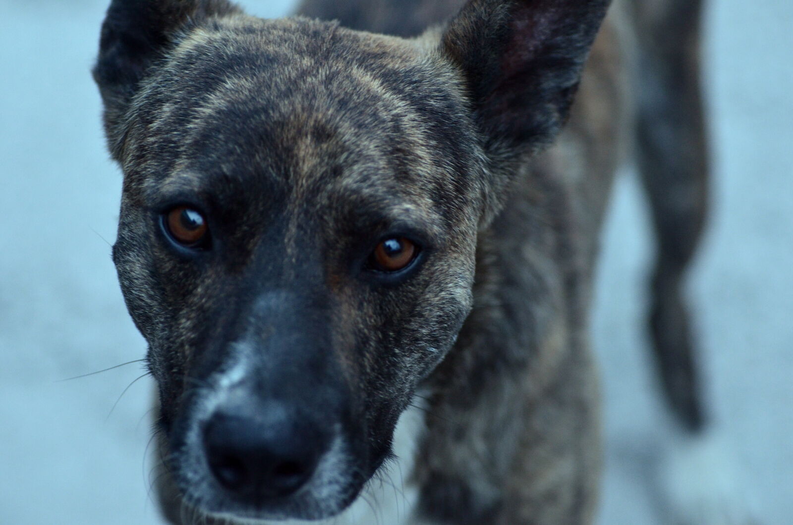 Nikon D7000 sample photo