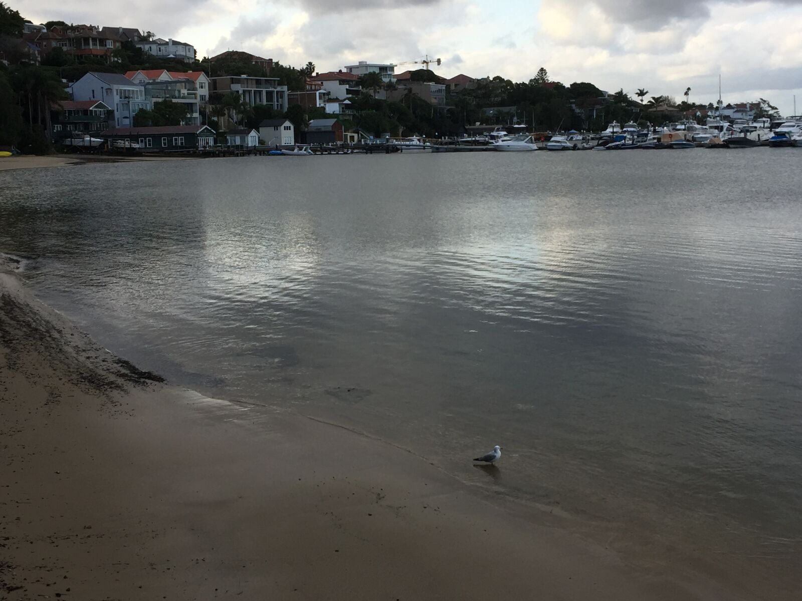 iPhone 6 Plus back camera 4.15mm f/2.2 sample photo. Bay, beach photography